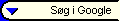 WWW Sg i Google